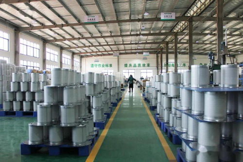 火力全開！伊普思福建工廠成功投產(chǎn)，第1000臺干燥機(jī)正式下線交付